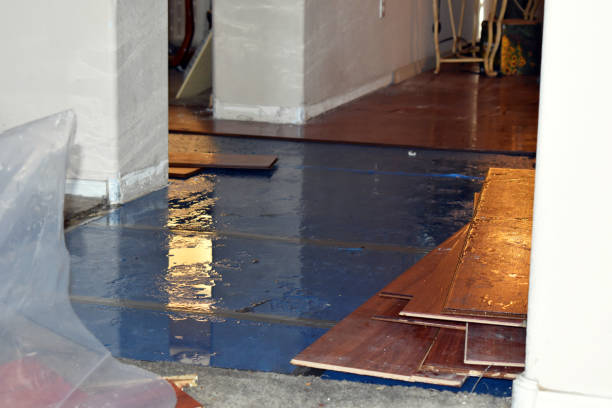 Professional Sewage Cleanup technician working in Mecosta, MI