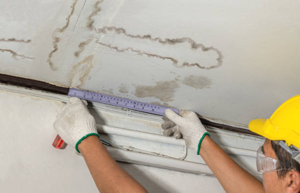 Reliable Sewage Cleanup contractor in Mecosta, MI by Water Damage Irwin